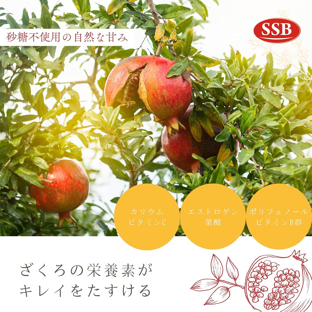 ざくろそのまま スティックゼリー 20日分 2袋セット（40日分）