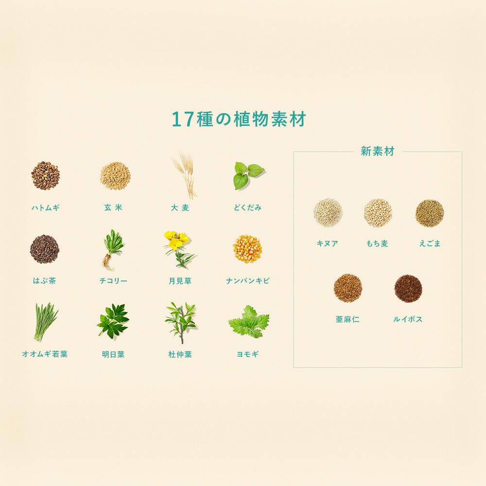 爽健美茶 2L PET×3本