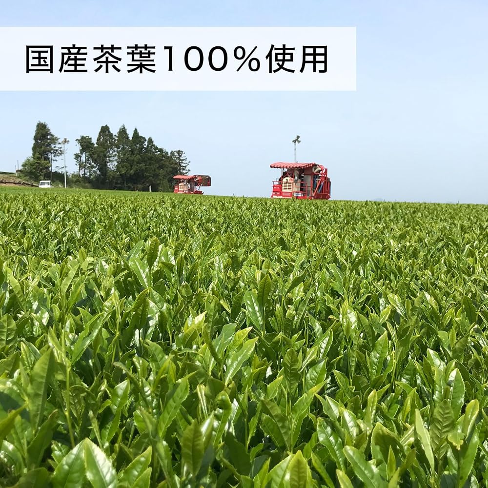【Amazon.co.jp限定】伊藤園 おーいお茶 ピュアグリーン 2L×8本