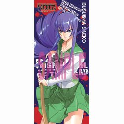 「学園黙示録 HIGHSCHOOL OF THE DEAD」毒島冴子 スポーツタオル