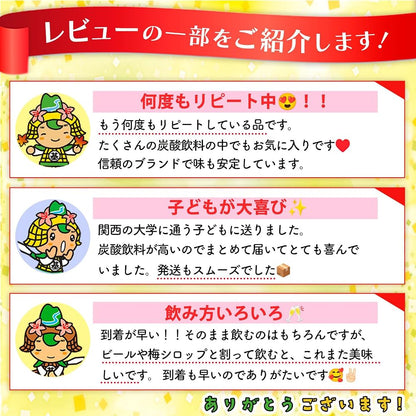【2カ月定期便】カナダドライ ジンジャーエール 1.5LPET (6本×2回) Z090491