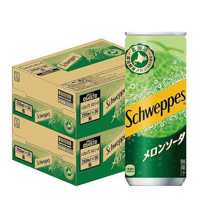 コカ・コーラ シュウェップス メロンソーダ 250ml×2ケース/60本