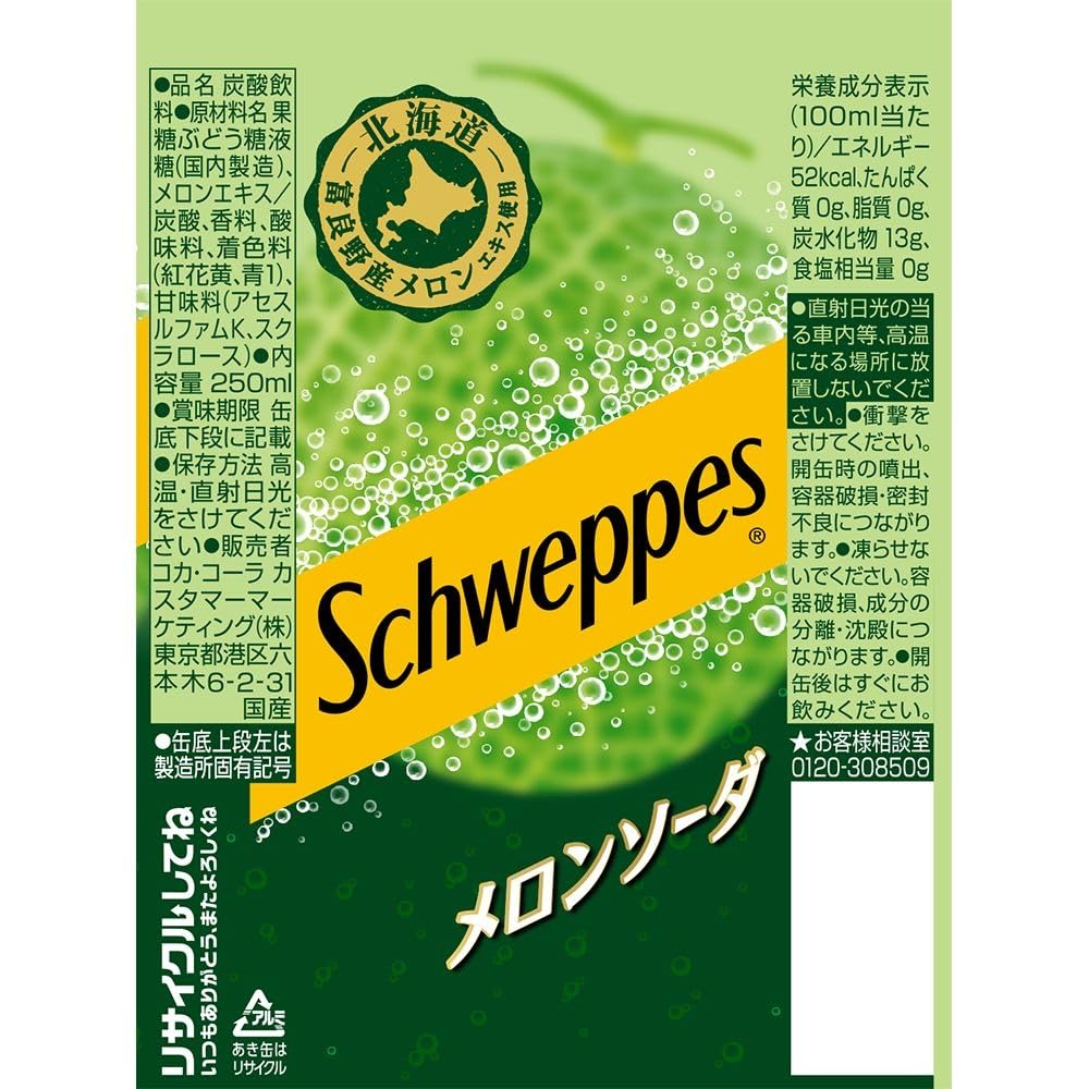 コカ・コーラ シュウェップス メロンソーダ 250ml×2ケース/60本