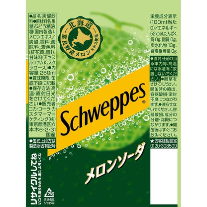 コカ・コーラ シュウェップス メロンソーダ 250ml×2ケース/60本