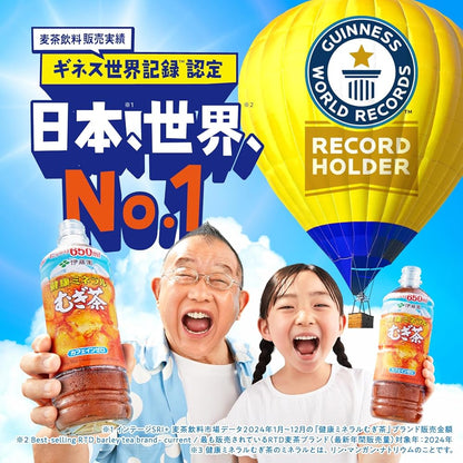 【Amazon.co.jp限定】 伊藤園 RROボックス 健康ミネラルむぎ茶 2L×9本 ペットボトル