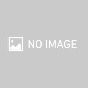 涼宮ハルヒの憂鬱 喜緑江美里 バニーVer. (1/4スケールPVC製塗装済み完成品)